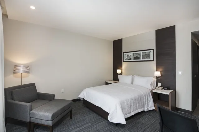 Room, Double Bed, City View, Hampton Inn And Suites San Luis Potosi Slp 5/5