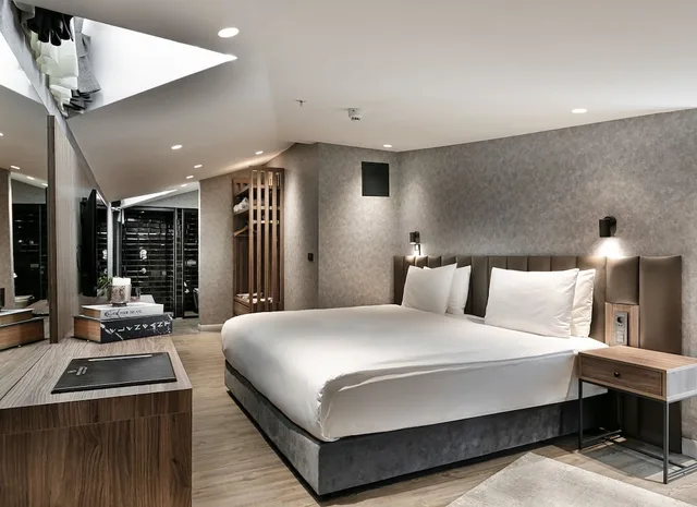 جناح بسرير كينج، Avantgarde Urban Hotel Sisli 1/3