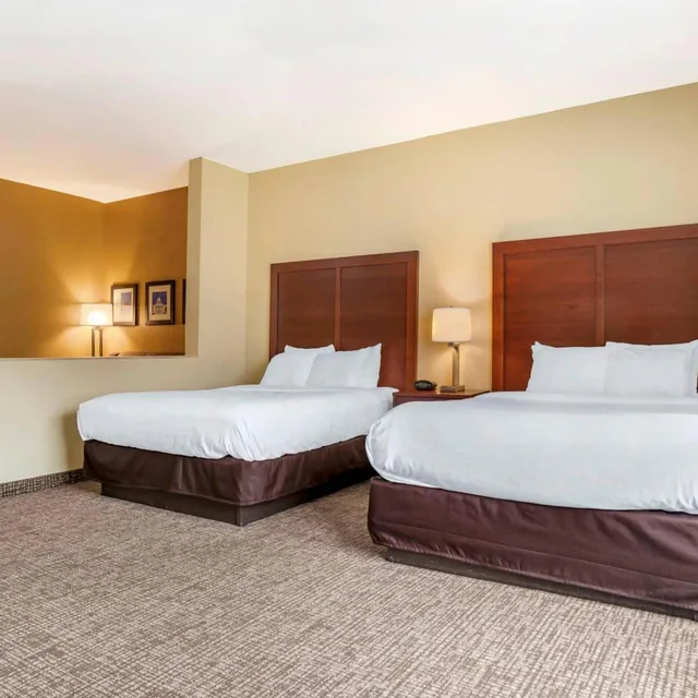 جناح ديلوكس بسرير كوين مع أريكة، Comfort Suites Montgomery East Monticello Dr 1/9