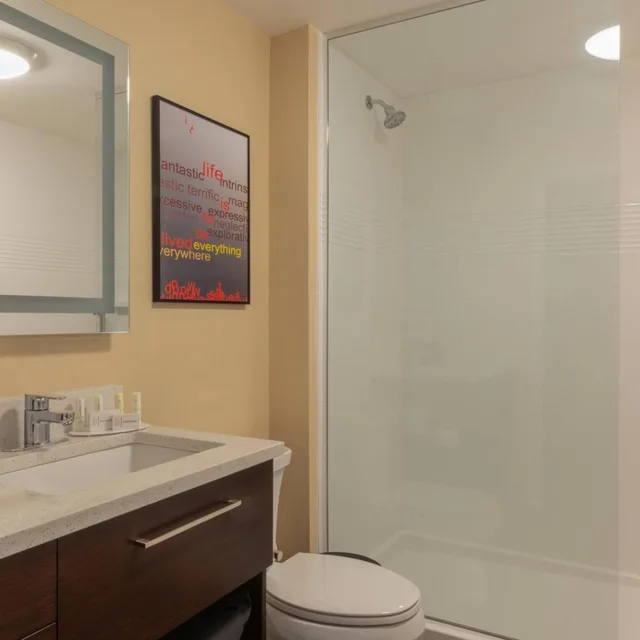استوديو بسرير كينج بإطلالة على المدينة مع أريكة، Towneplace Suites Syracuse Liverpool 3/4