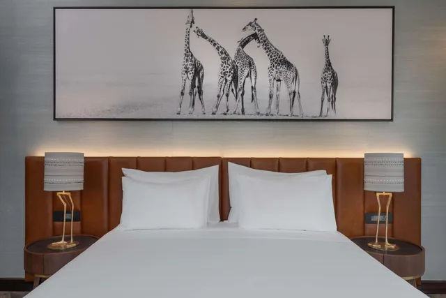 Suite, Villa, River View, Terrace، Radisson Blu Mosi-oa-Tunya Livingstone Resort 9/10