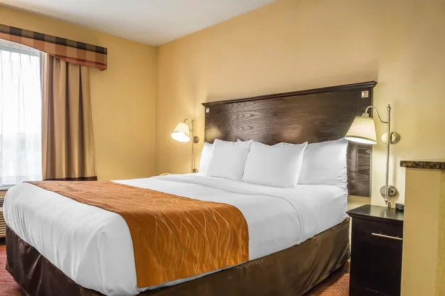 جناح بسرير كينج مع أريكة، Comfort Inn & Suites LaGuardia Airport 5/9