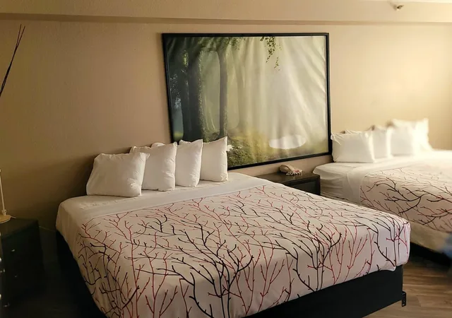 جناح تنفيذي، Rancho San Diego Inn and Suites (Ex SureStay Plus Hotel by Best Western El Cajon) 5/10