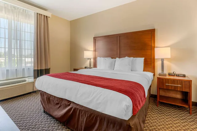 جناح بسرير كينج، Comfort Inn & Suites Galt Lodi North 1/4