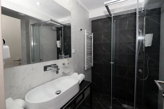 غرفة قياسية مفردة، ALEXANDAR II HOTEL 1/1