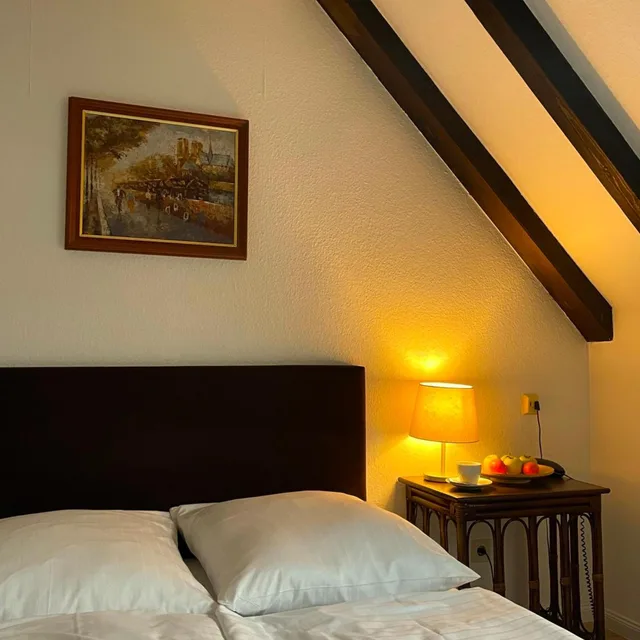 غرفة قياسية بسرير مزدوج، Hotel Moguntia 2/5