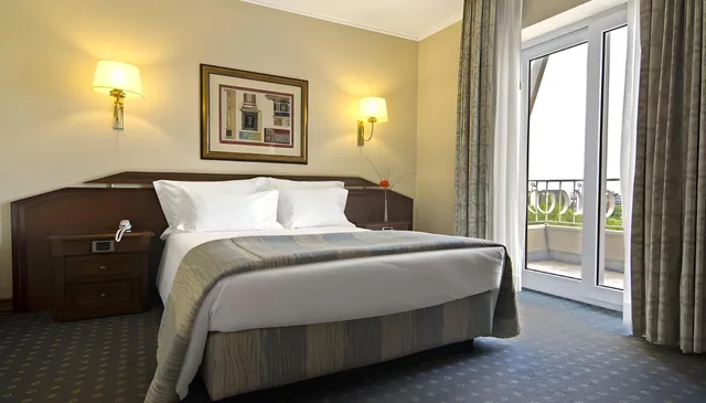 Room, Single, Sana Rex Hotel 1/1