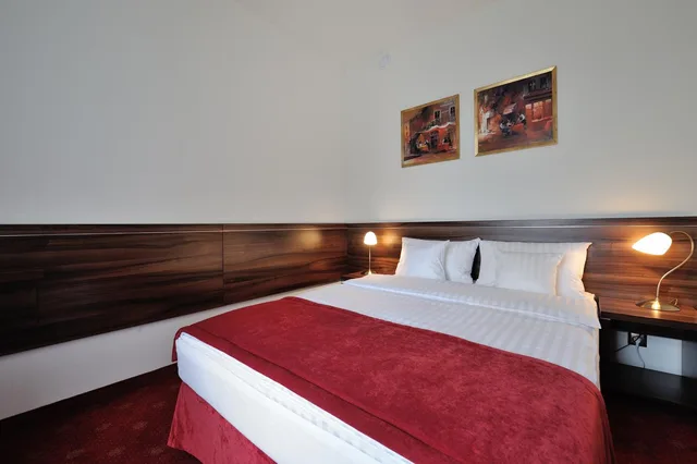 Plus, Standard, Double Bed، Hotel Centrum Sosnowiec 3/4