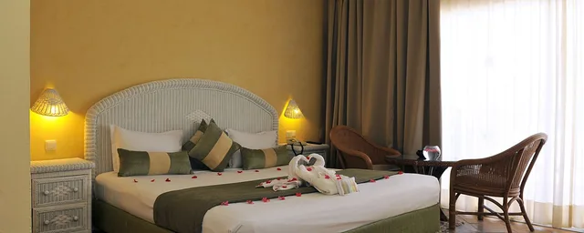 Single Standard Room, Odyssee Resort and Thalasso 3/3