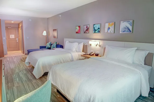 غرفة ديلوكس بسريرين كوين، Hilton Garden Inn Tampa-Wesley Chapel 1/4
