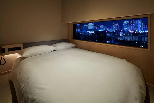 غرفة بسرير نصف مزدوج بإطلالة على المدينة، ONSEN RYOKAN YUEN SHINJUKU 2/4
