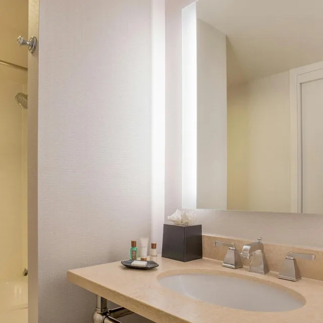 Executive, Suite, Club Floor، Sheraton Suites Chicago Elk Grove 4/4