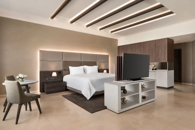 جناح تنفيذي، Pickalbatros Luxury Suites 1/3