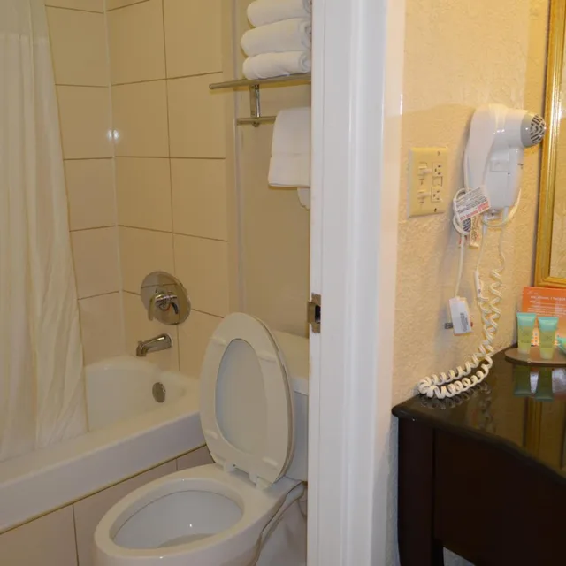 غرفة قياسية بسرير كينج، Opal Hotel and Suites 6/6