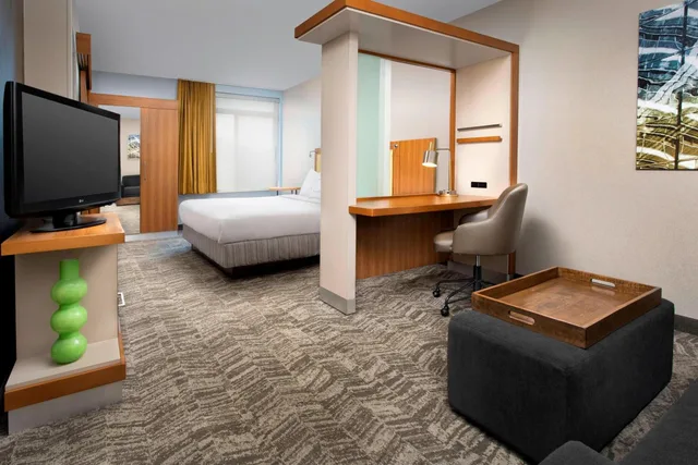 استوديو بسرير كينج مع أريكة بحوض استحمام لذوي الإعاقة، Springhill Suites By Marriott Potomac Mills Woodbridge 1/2