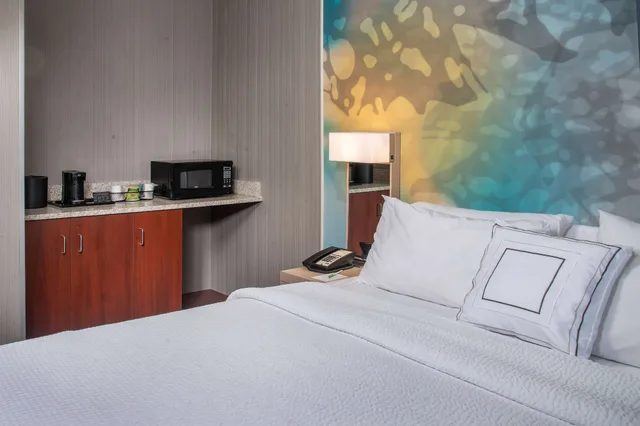 جناح سوبيريور بسرير كينج بغرفة نوم واحدة مع أريكة، Sonesta Select San Jose Airport 3/4