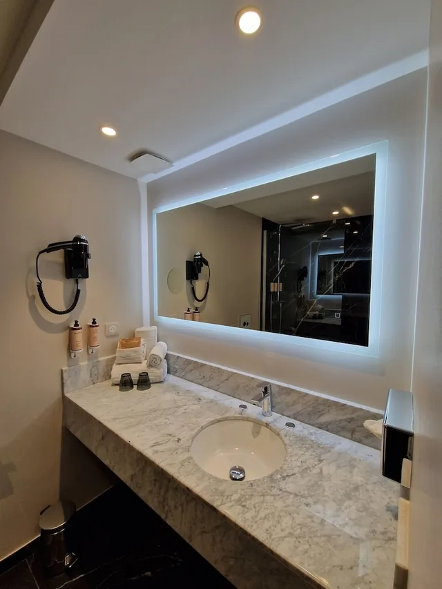 غرفة سوبيريور بسرير مزدوج بإطلالة على المسبح، MERCURE ORLEANS CENTRE 3/9