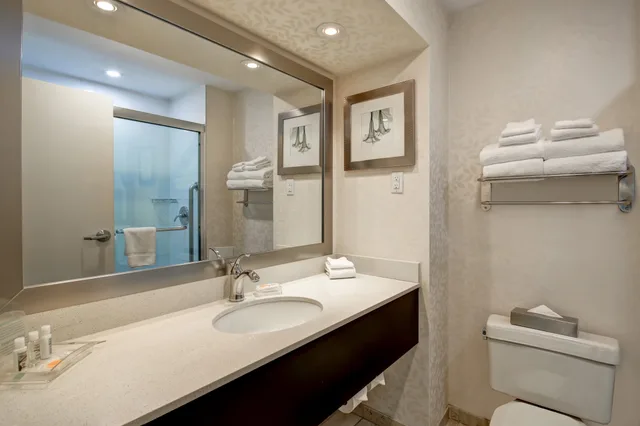 Room, Queen Bed, Accessible, Holiday Inn Suites Windsor Ambassador Bridge 2/3