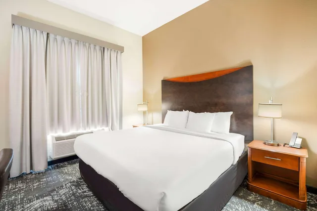 جناح بسرير كينج لذوي الإعاقة، Comfort Suites Suites Columbia at Harbison 1/8