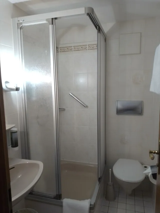 Retro, Compact, Single, Single Bed, No Balcony، Hotel Waldblick 6/10