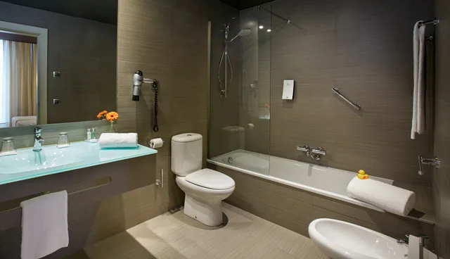غرفة كلاسيكية بسريرين منفصلين، Sercotel Boulevard Vitoria 4/4