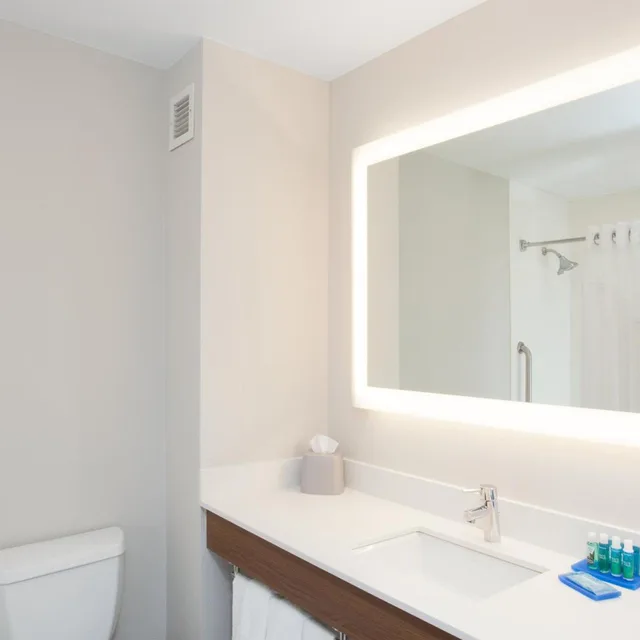Xtra Space, Standard, King Bed, Holiday Inn Express Haskell-Wayne Area 2/2