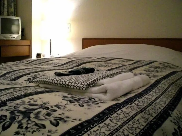 غرفة بسرير مزدوج للمدخنين، Hotel Togane Hills 1/1
