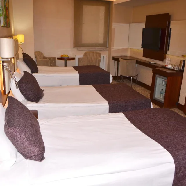 Room, Triple, ASRIN BUSINESS HOTEL 6/10