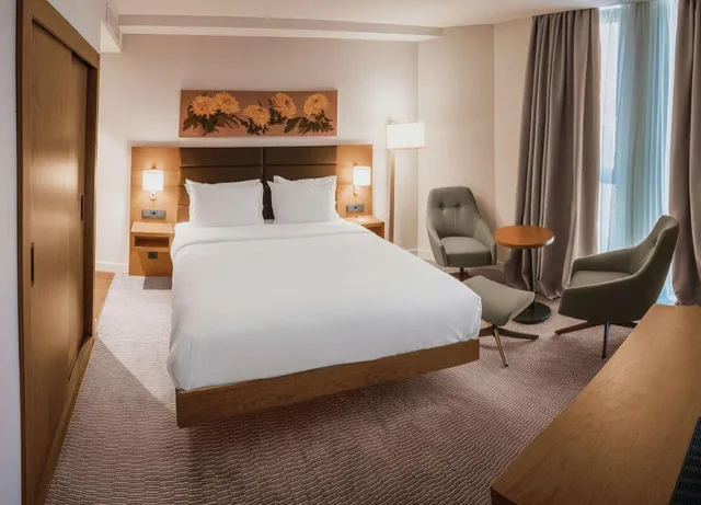 جناح بسرير كينج بغرفة نوم واحدة مع أريكة، Hilton Garden Inn Tbilisi Chavchavadze 1/5