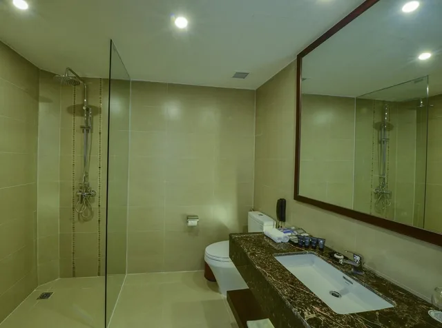 غرفة قياسية بسرير مزدوج، Aristo International Hotel 6/6
