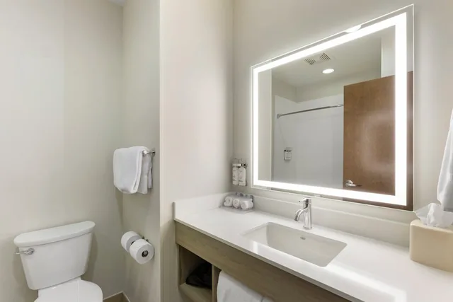غرفة قياسية بسرير كينج، Holiday Inn Express Hotel And Suites Belgrade 9/9