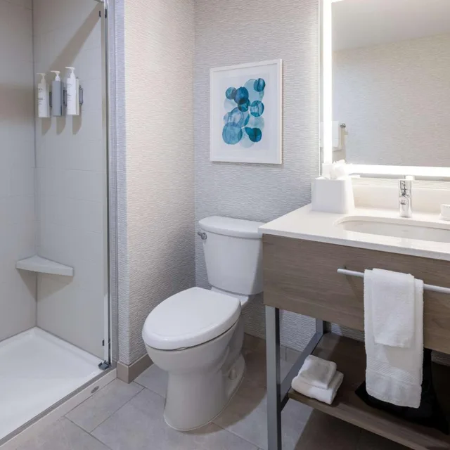 1 Bedroom, Suite, King Bed, Sofa, Kitchen, Hampton Inn & Suites Venice Bayside South Sarasota 6/9
