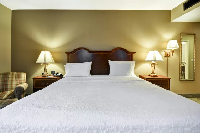 غرفة بسرير كينج، Hampton Inn Charleston Historic District 5/8