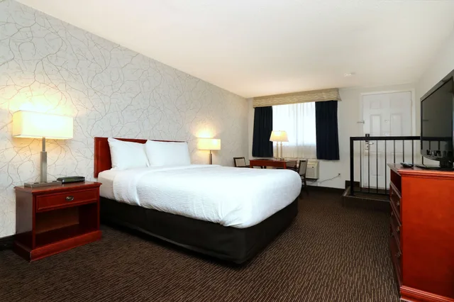 غرفة قياسية بسرير كوين، Best Western Halton Hills 1/6