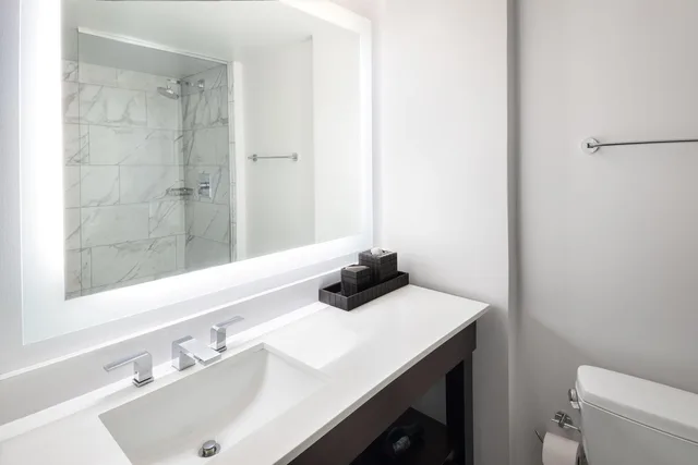 جناح ديلوكس بسرير كينج، Hyatt Regency Schaumburg Chicago 4/5