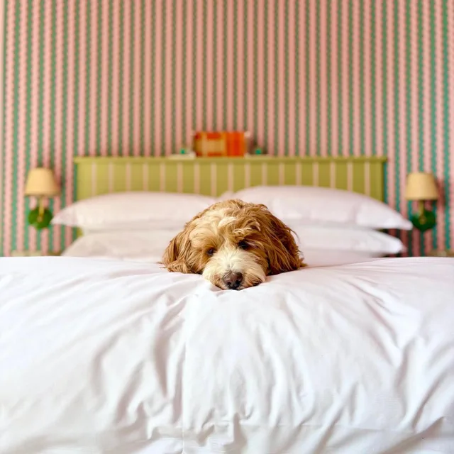 غرفة بسرير كوين بإطلالة على البحر، Drakes Hotel Brighton 5/7