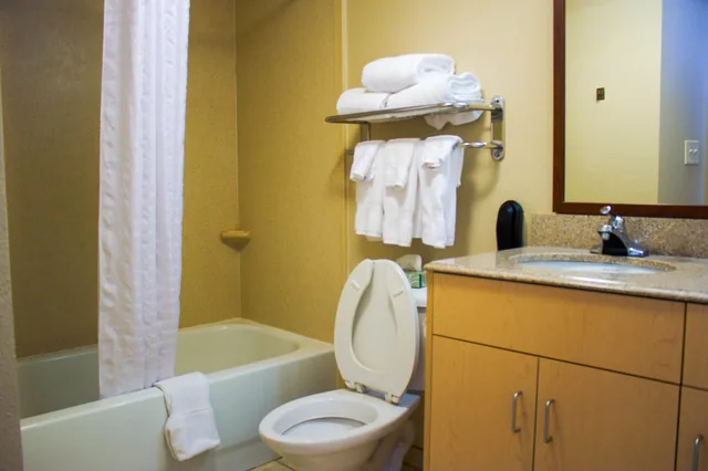 جناح بسرير كوين بغرفة نوم واحدة مع أريكة، CANDLEWOOD SUITES WILSON 3/4