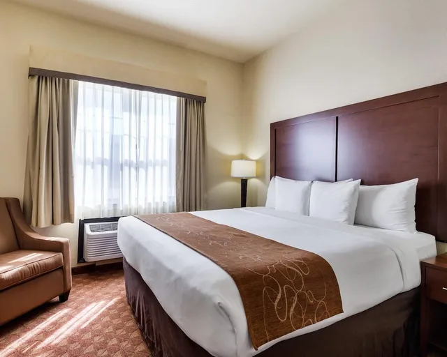 جناح بسرير كينج مع أريكة لذوي الإعاقة، Comfort Suites near NASA - Clear Lake 1/2