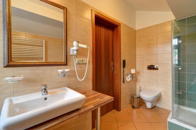 غرفة قياسية بسرير مزدوج أو سريرين منفصلين، U Pramenu Hotel 5/10