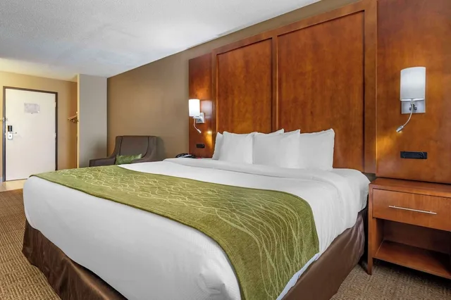 غرفة قياسية بسرير كينج، Comfort Inn Romeoville - Bolingbrook 5/10