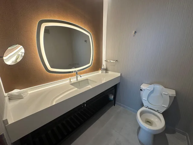 جناح بسرير كينج لذوي الإعاقة، Hotel Indigo Baton Rouge Downtown 6/8
