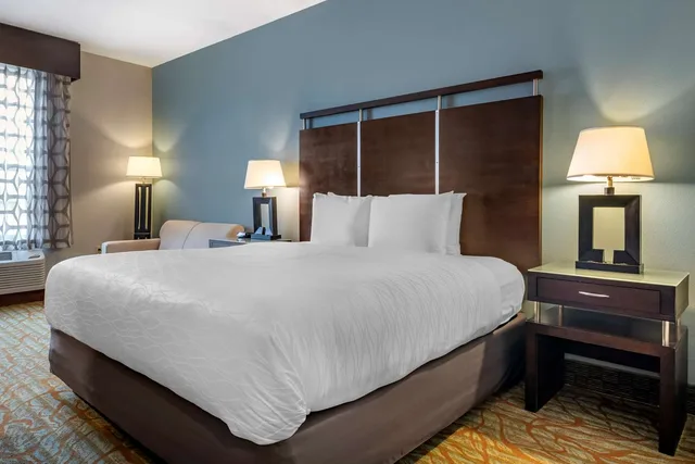 Room, King Bed, Best Western Plus Bradenton Gateway Hotel 1/2