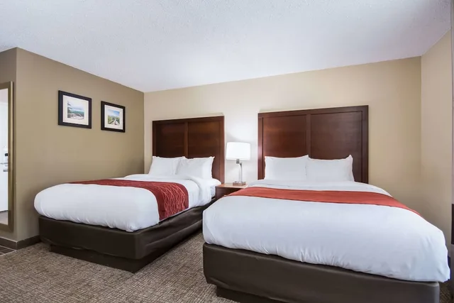غرفة قياسية بسريرين مزدوجين، Comfort Inn Kings Mountain 1/3