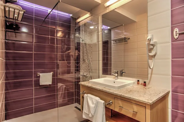 Standard, Single, Holiday Inn Plovdiv 10/11