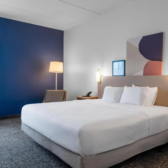 غرفة بسرير كينج بحوض استحمام لذوي الإعاقة، Spark by Hilton Atlanta Kennesaw Town Center 3/10