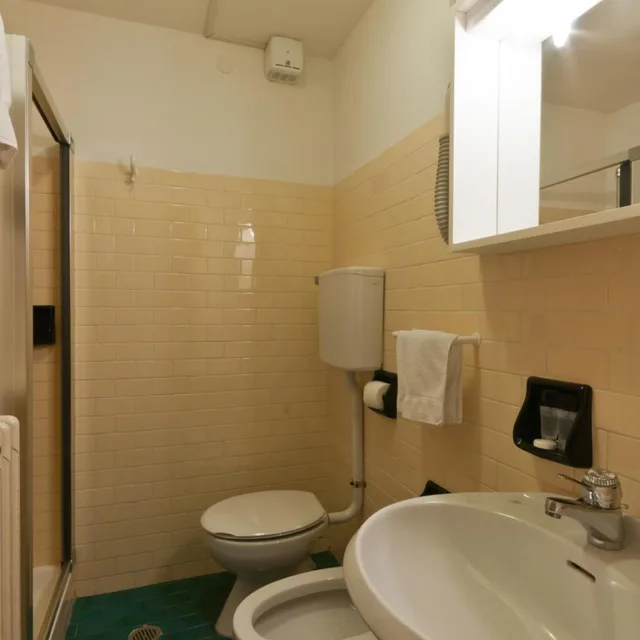 Economy, Double or Twin Bed, HOTEL CHALET PINETA 6/6