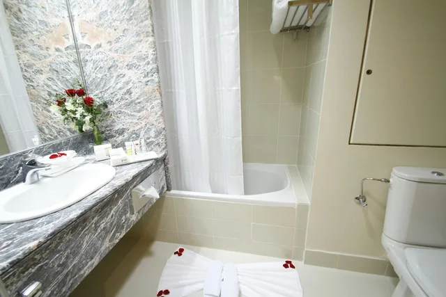 غرفة قياسية بسرير كينج، Novel Hotel City Center 4/4