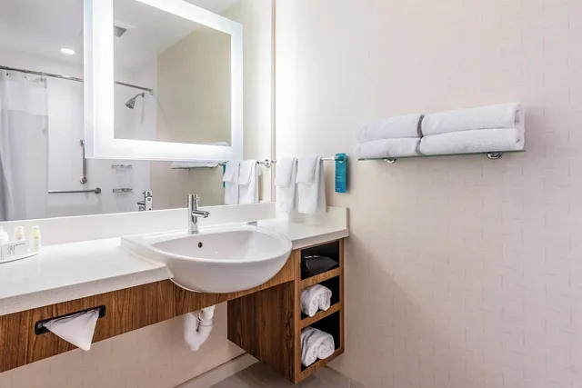 جناح بسرير كينج مع سرير سحّاب إضافي، SPRINGHILL SUITES DALLAS PLANO/FRISCO 3/5