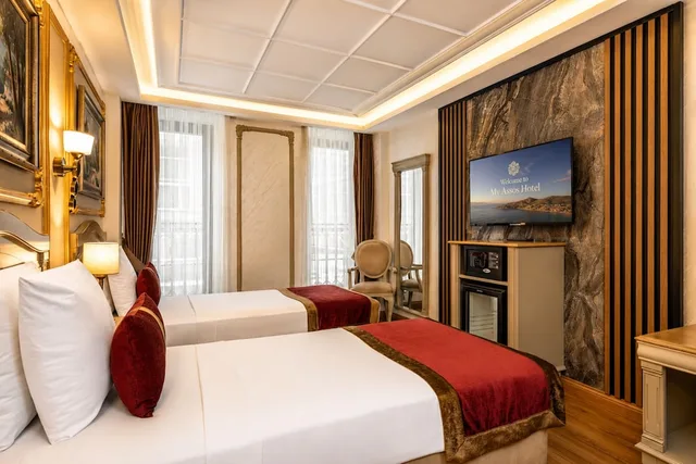 غرفة ديلوكس بسرير مزدوج، My Assos Hotel Istanbul 3/7