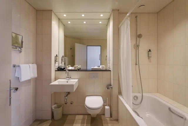 غرفة سوبيريور بسرير مزدوج، Hotel Schweizerhof Basel 6/7